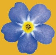 Liga za duševné zdravie