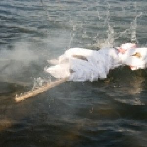 thumbs-mp-03-23-13-83924