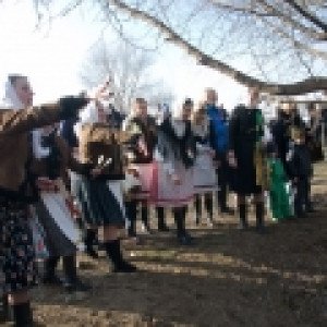 thumbs-mp-03-23-13-83932