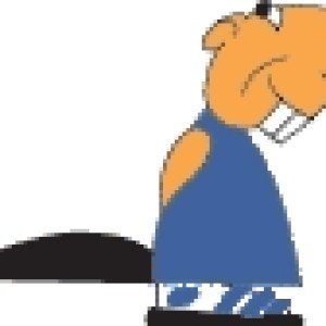 bobor-logo-original4