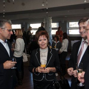 gastro-2013-030