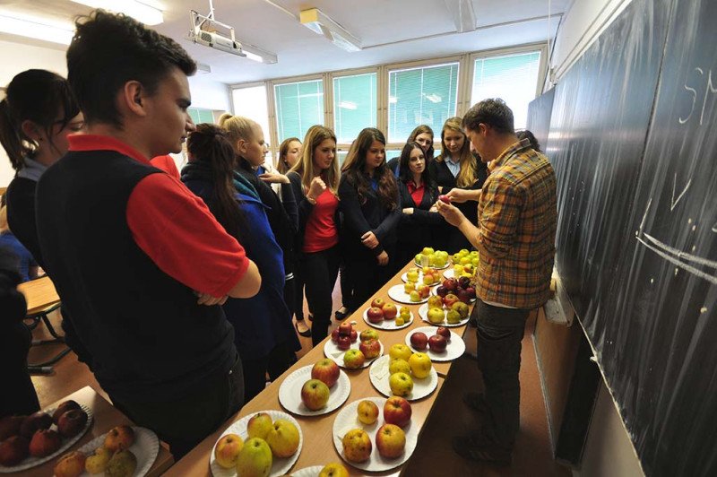 Staré odrody sú "in"