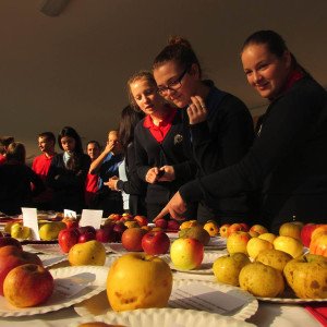 img-3702