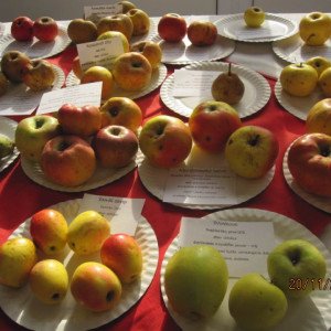 img-1759