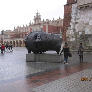 img-2304