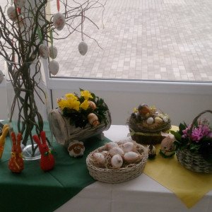dsc-0911