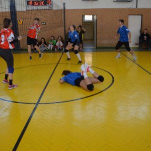 46156068-2584693068215153-8996273463530356736-o