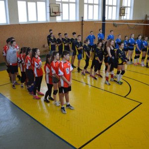 46171945-2584625884888538-6177048434990645248-o