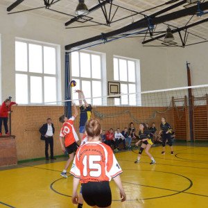 46359009-2584692874881839-5691472652414222336-o