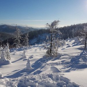 50830667-297343890927800-6843202286416560128-n