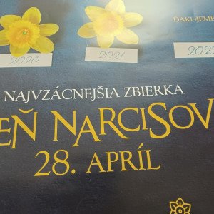 den-narcisov1
