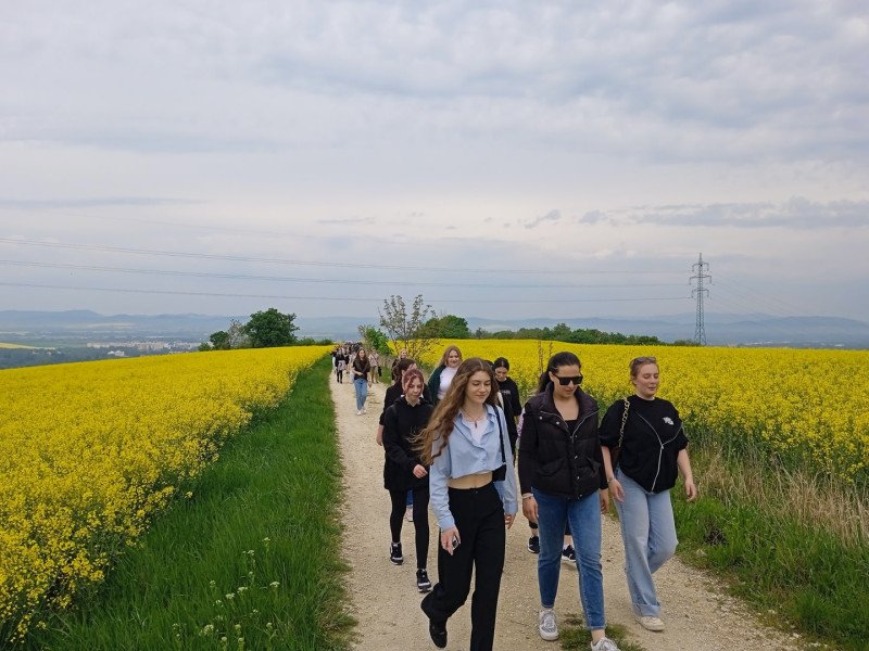 Účelové cvičenie