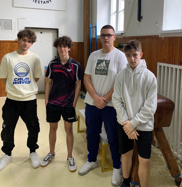 Majstrovstvá okresu v stolnom tenise