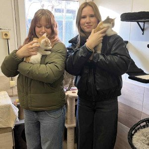 Návšteva v útulku