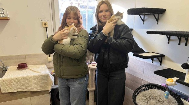 Navštívili sme útulok