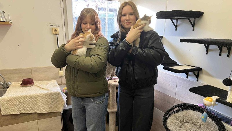 Návšteva v útulku