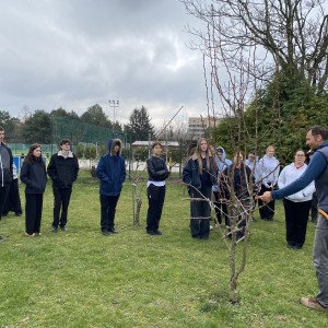 Jarné strihanie ovocných stromov na školskom dvore