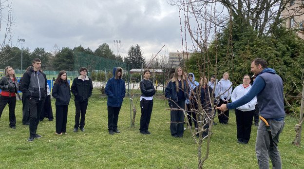 Jarné strihanie ovocných stromov na školskom dvore