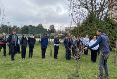 Jarné strihanie ovocných stromov na školskom dvore