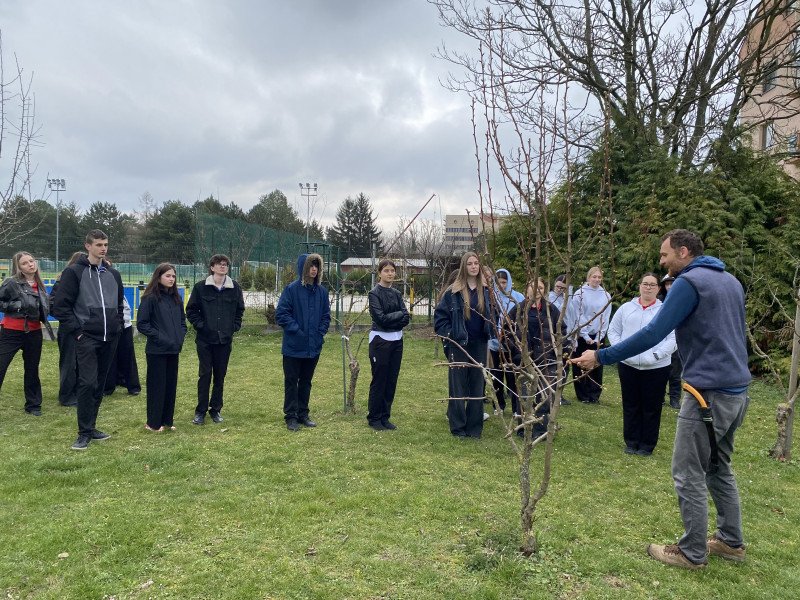 Jarné strihanie ovocných stromov na školskom dvore