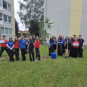 Projekt: Lipy života – záhrady čaju budúcnosti