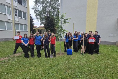 Projekt: Lipy života – záhrady čaju budúcnosti