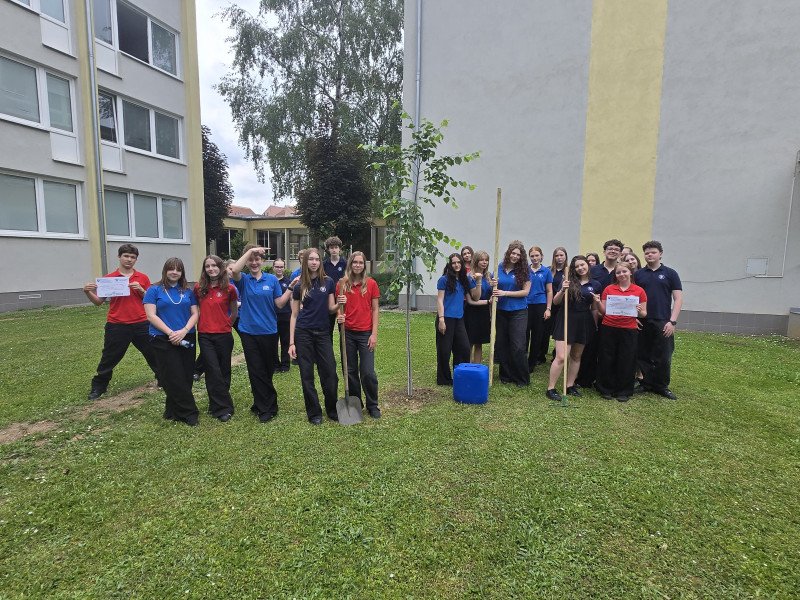 Projekt: Lipy života – záhrady čaju budúcnosti